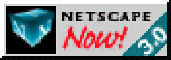 Netscape Now! button